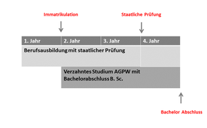 Grafik zum Studienverlauf des ausbildungsintegrierenden Studiengangs Angewandte Gesundheits- und Pflegewissenschaften